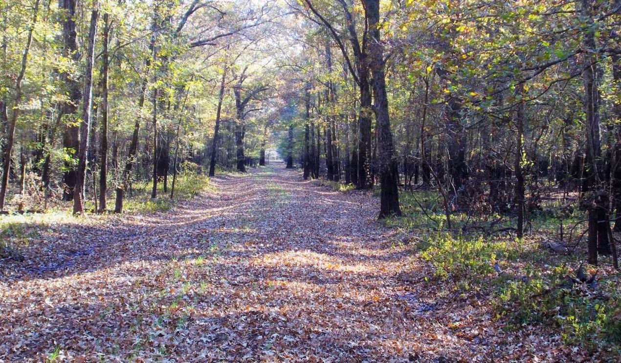 1640 Acres of Land for Sale in bossier County Louisiana