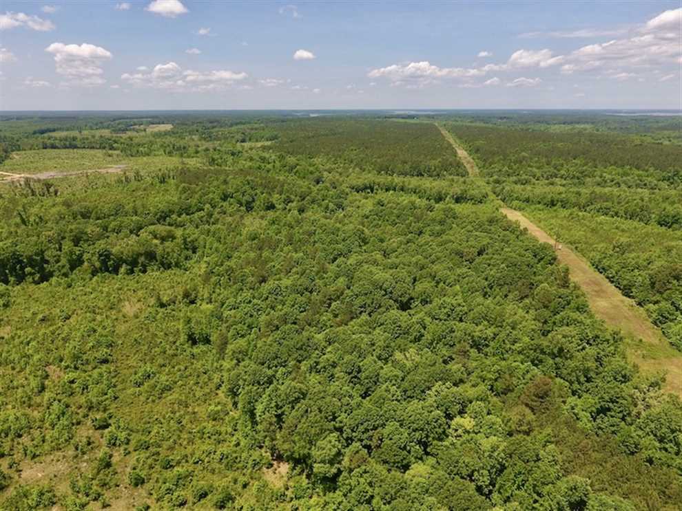 Land for sale at Off Burchette Road