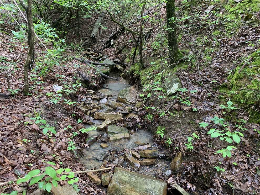 Land for sale to buy in 72927 zip code