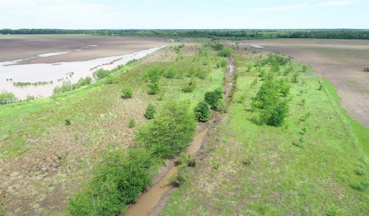 320 Acres of Land for Sale in little river County, Arkansas