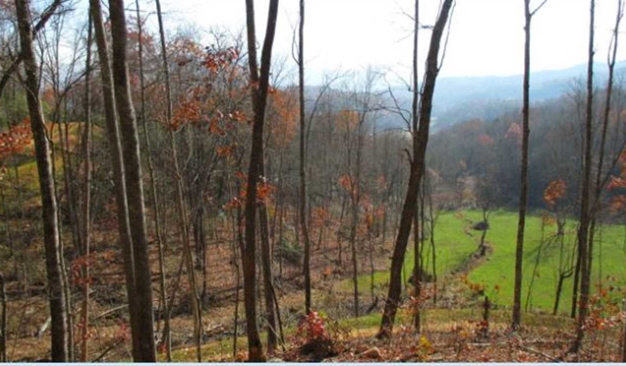 Residential land real estate to buy in swain County NC