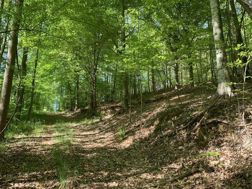 13.77 Acres of Land for sale in randolph County, North Carolina