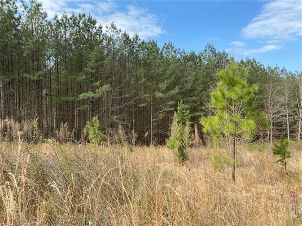 69.01 Acres of Land for sale in marion County, Tennessee