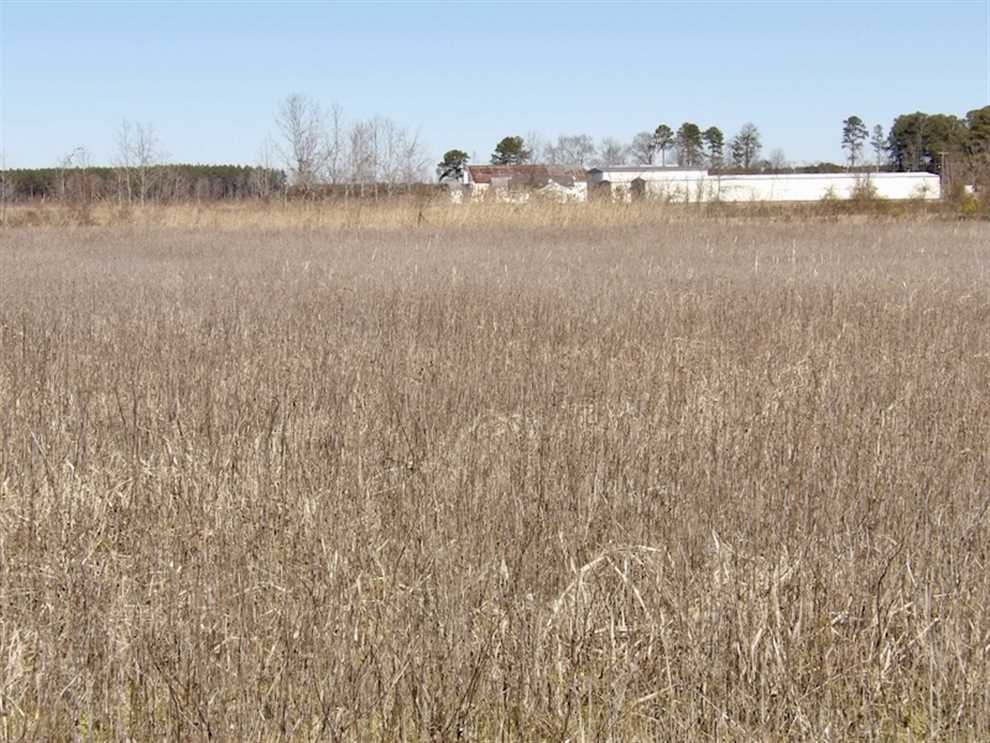 isle of wight County, Virginia property for sale
