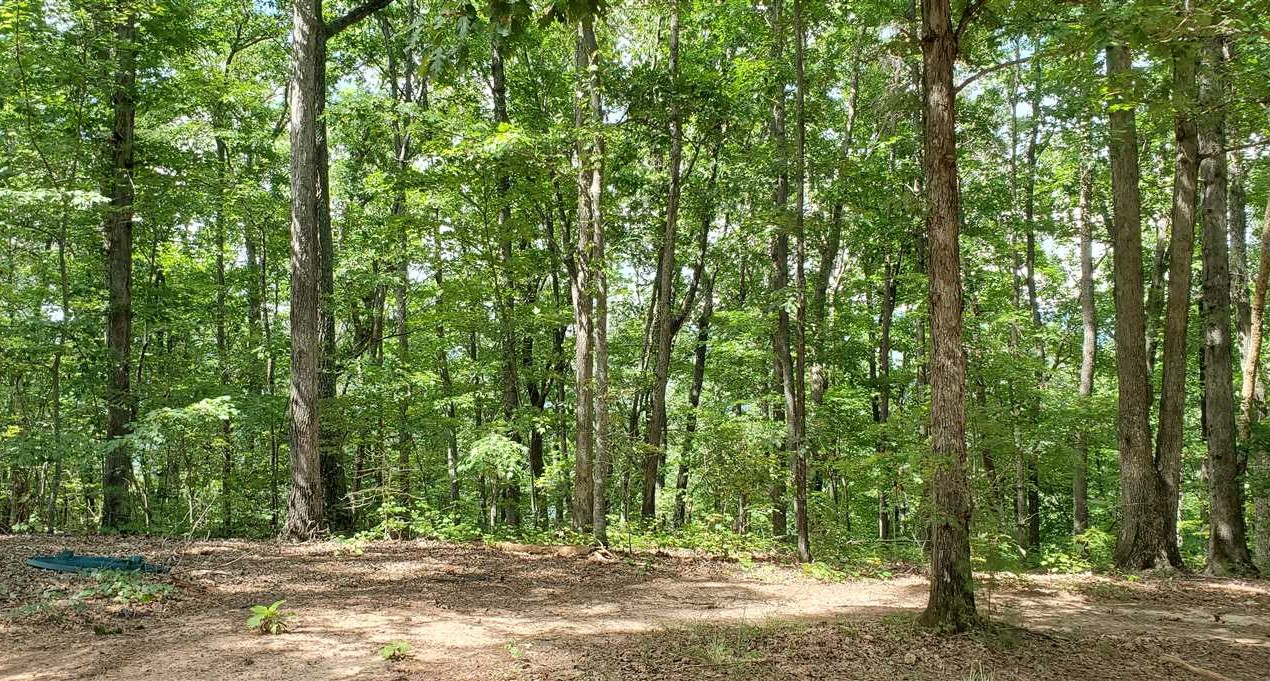 Houses and land for sale in North Carolina