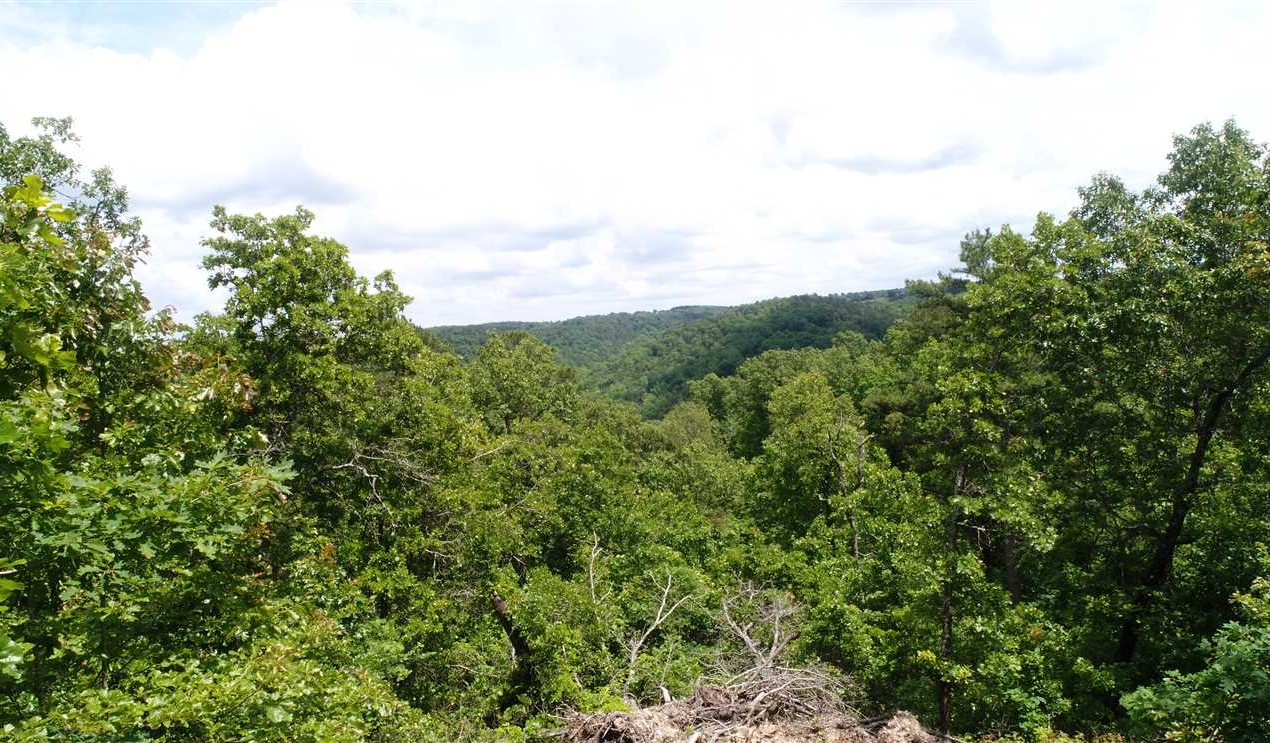 Land for sale at