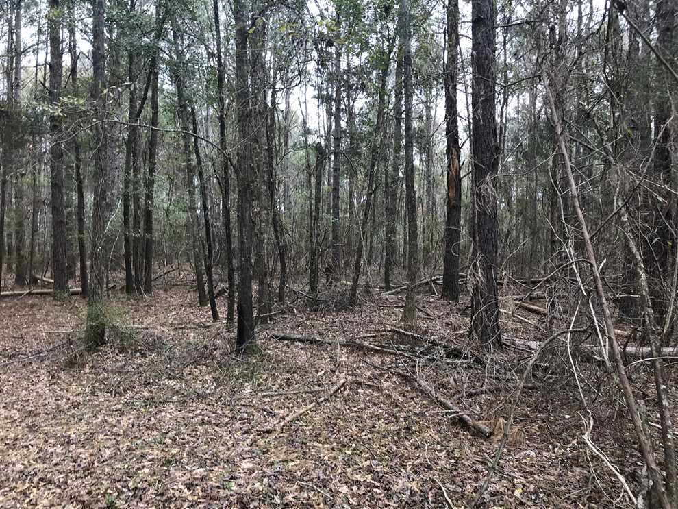 44 Acres of Recreational land for sale in Columbus, lowndes County, Mississippi