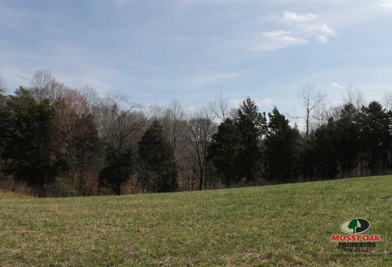 35 Acres of Land for Sale in monroe County Kentucky