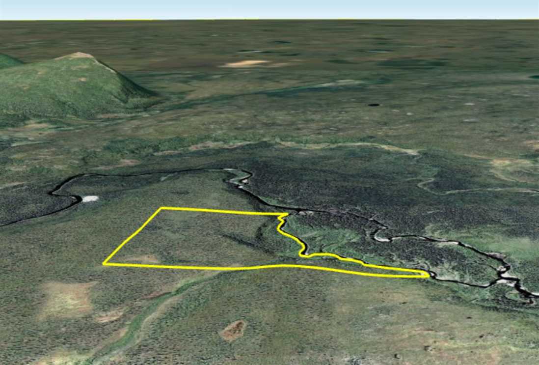 40 Acres of Recreational land for sale in King Salmon, lake and peninsula County, Alaska