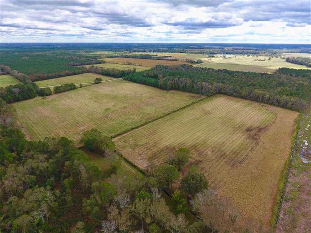54 Acres of Farm and Timber Land For Sale in Pitt County NC! Real estate listing