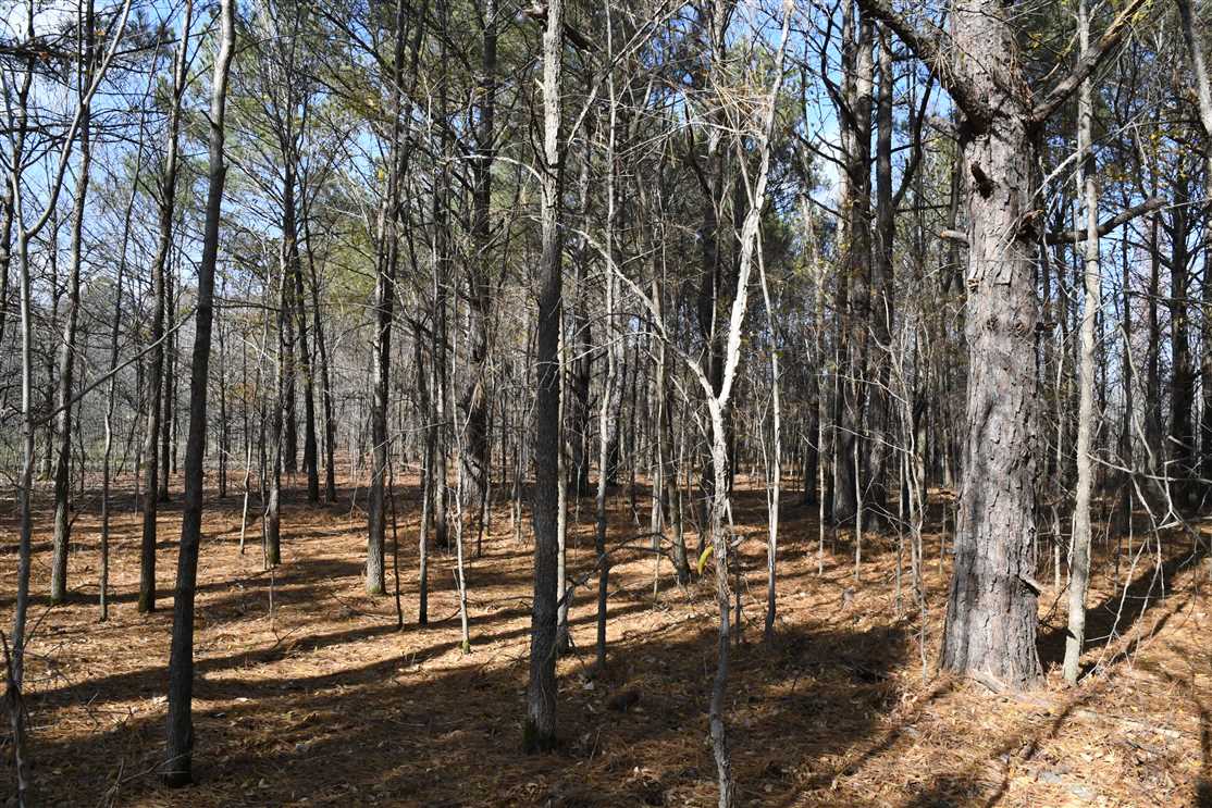 Houses and land for sale in Arkansas