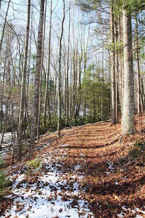 Land for sale to buy in 28692 zip code