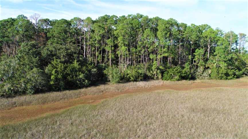 23 Acres of Residential land for sale in Waverly, camden County, Georgia