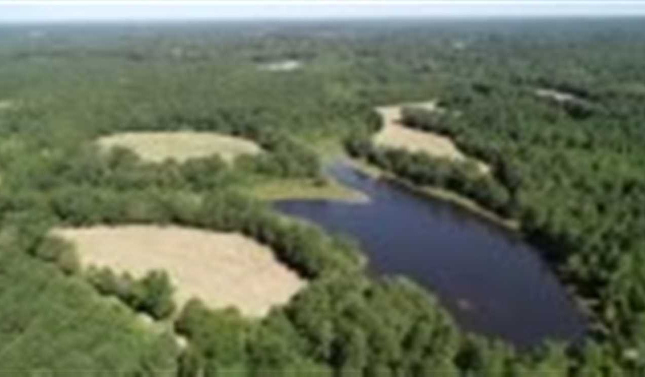 342 Acres of Recreational land for sale in Nettleton, itawamba County, Mississippi