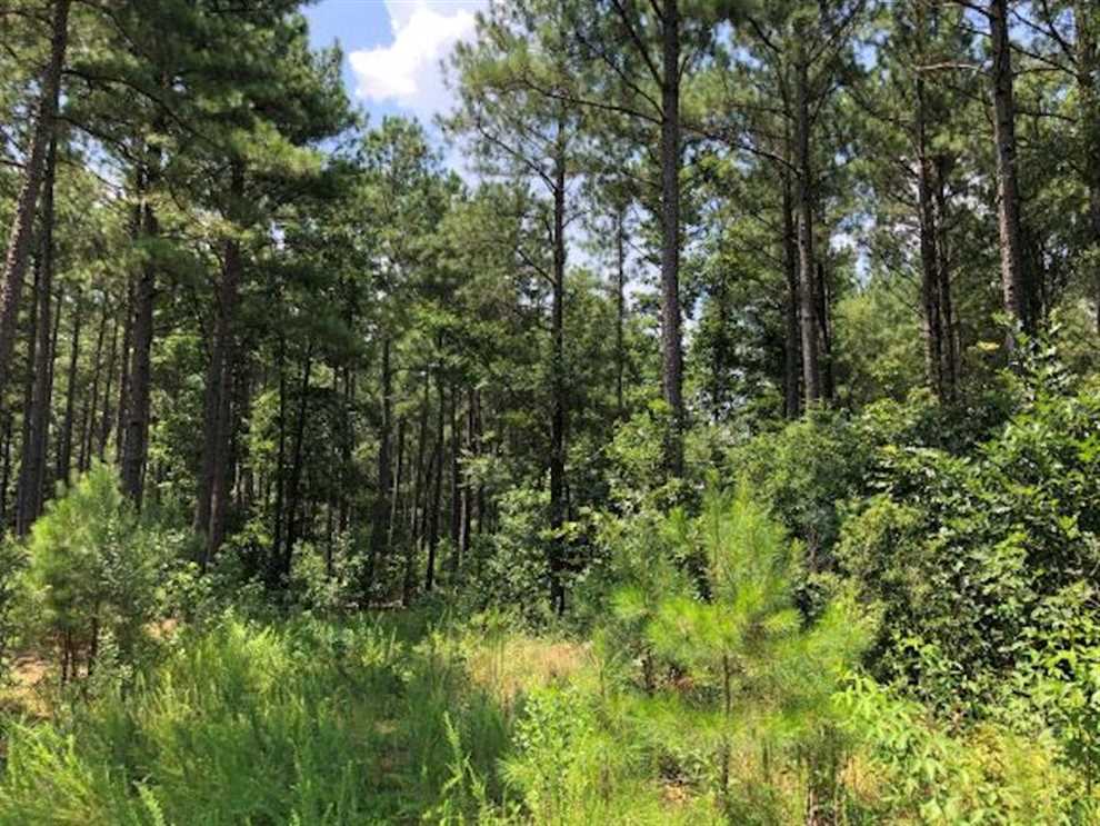 Land for sale to buy in 27207 zip code