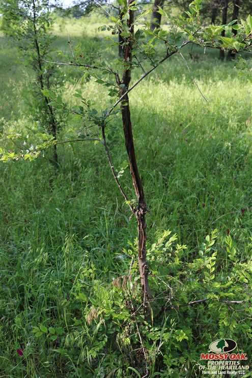 property for sale on The Land Market