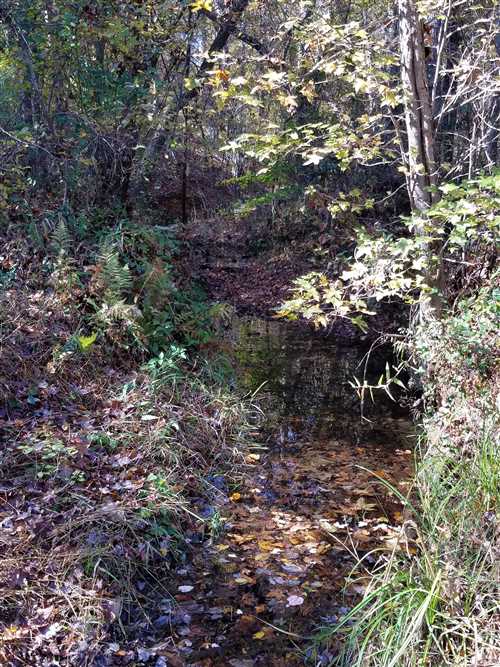 Land for sale at 00 Walker Road