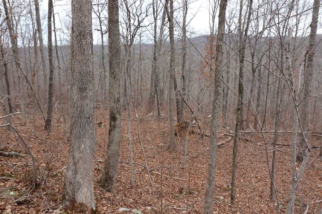 60 Acres of Land for sale in madison County, Arkansas