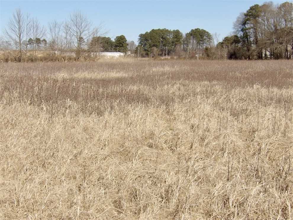 35 Acres of Recreational land for sale in Franklin, isle of wight County, Virginia