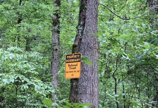 40 Acres of Land for Sale in logan County Arkansas
