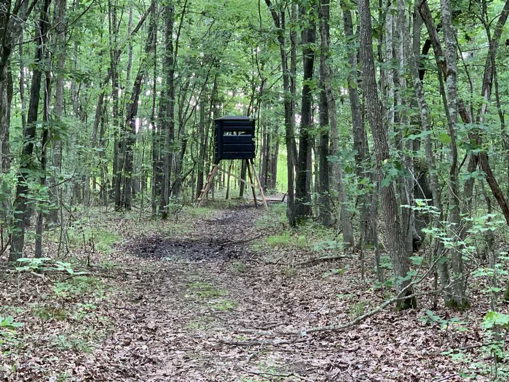80 Acres of Land for sale in white County, Arkansas