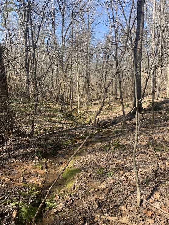20.06+/- Acres in Whitsett, Guilford County Real estate listing