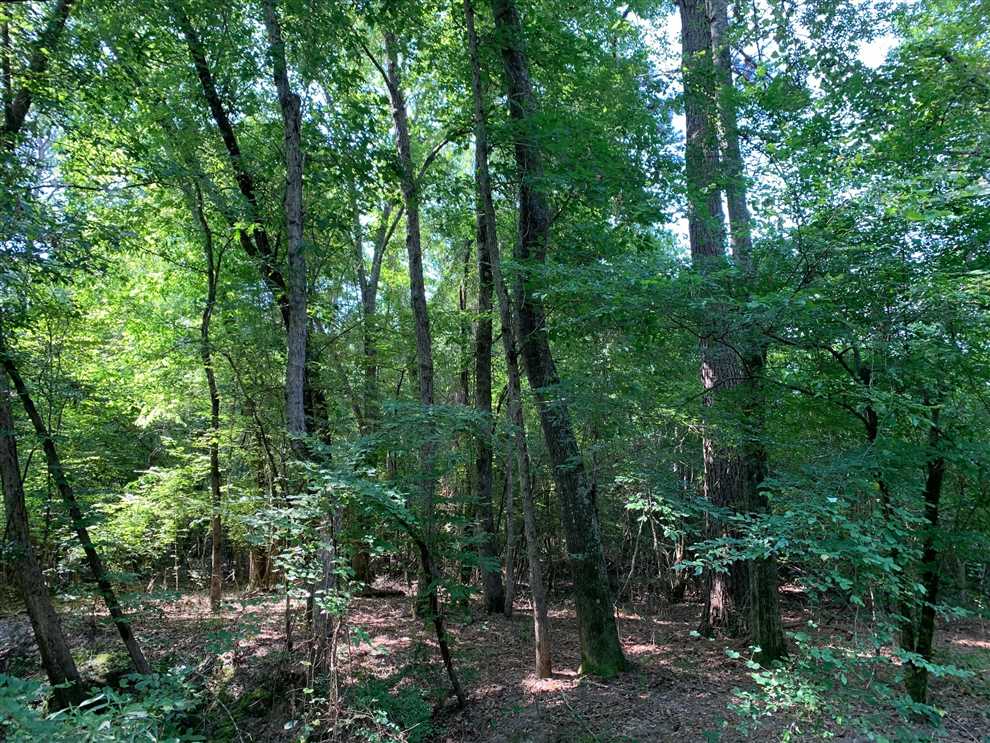 union County, Louisiana property for sale