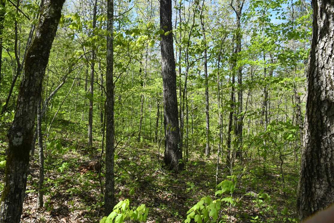 van buren County, Arkansas property for sale