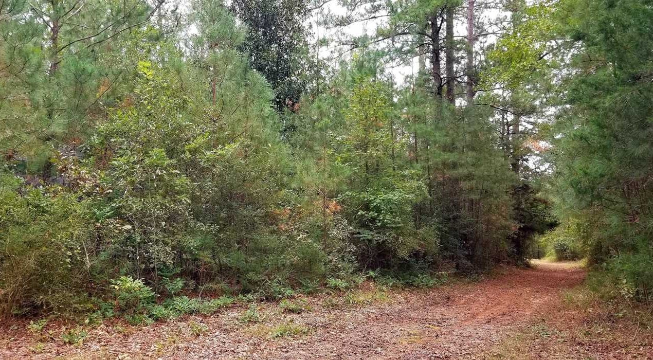 Atlanta land available for purchase