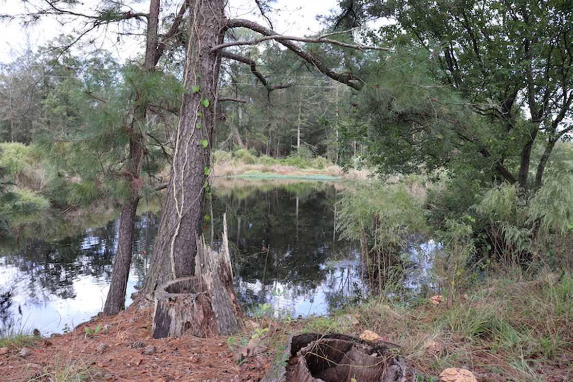 robeson County, North Carolina property for sale