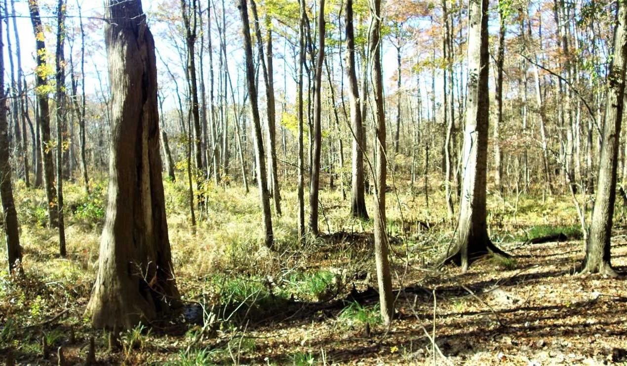 Land for sale to buy in 71037 zip code