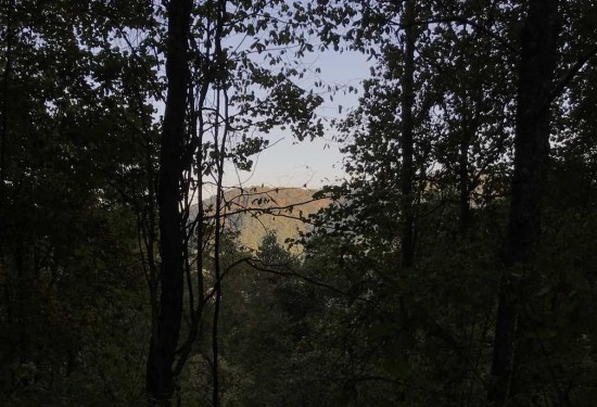 10.2 Acres of Land for Sale in caldwell County North Carolina