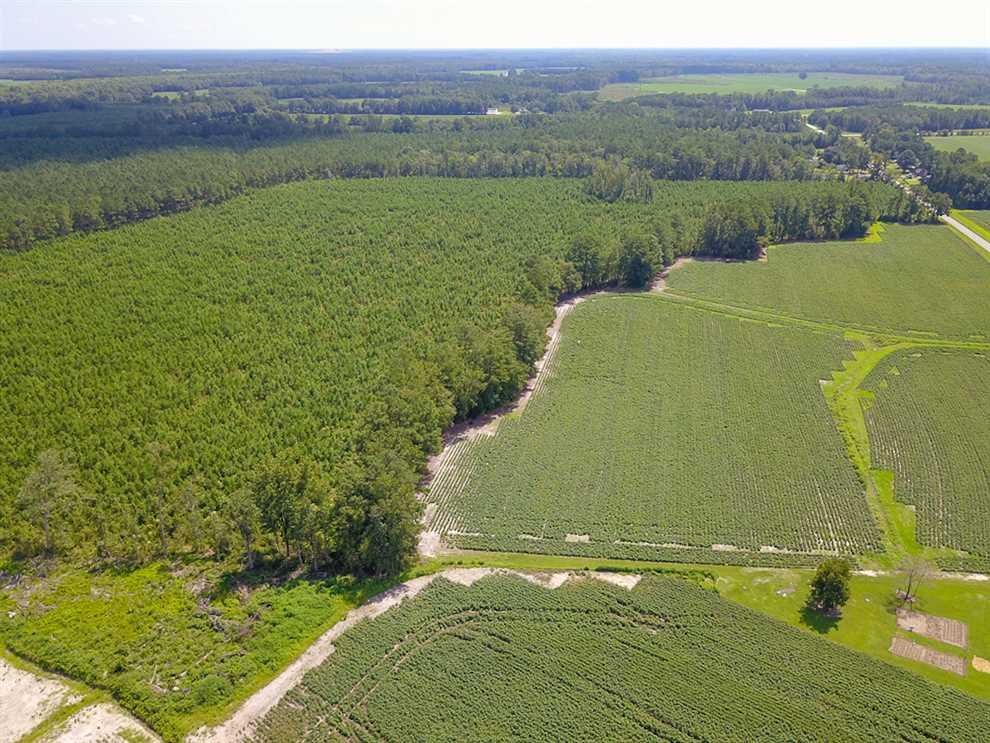 149 Acres of Land for sale in bertie County, North Carolina