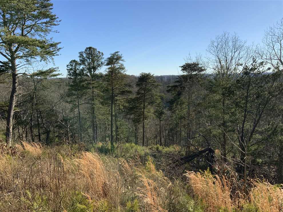 Breathtaking views of Kentucky Lake from this 5 acre tract in Benton County, Tennessee Real estate listing