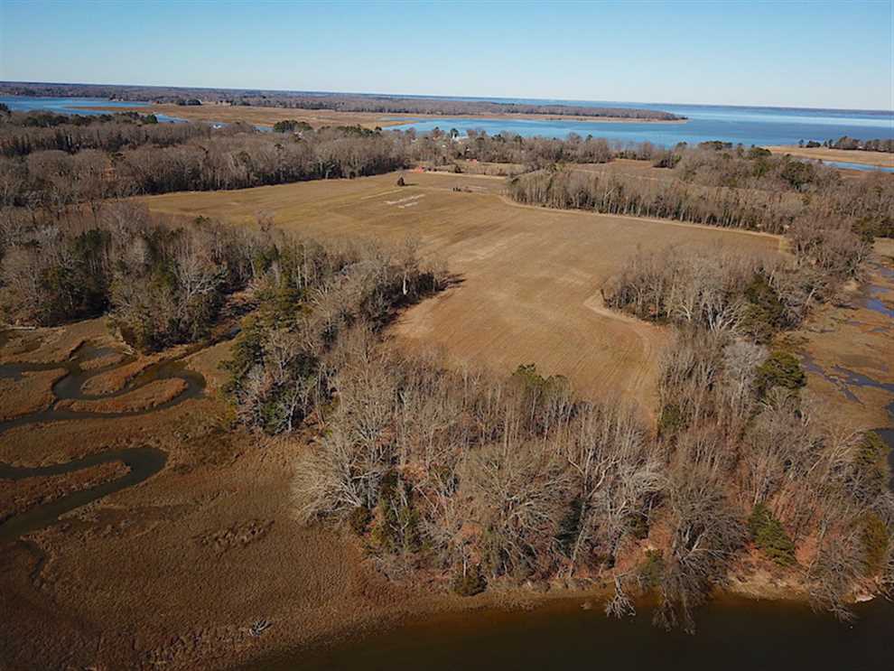 47 Acres on Deep Water Tidal Waters in Isle of Wight County Virginia! Real estate listing