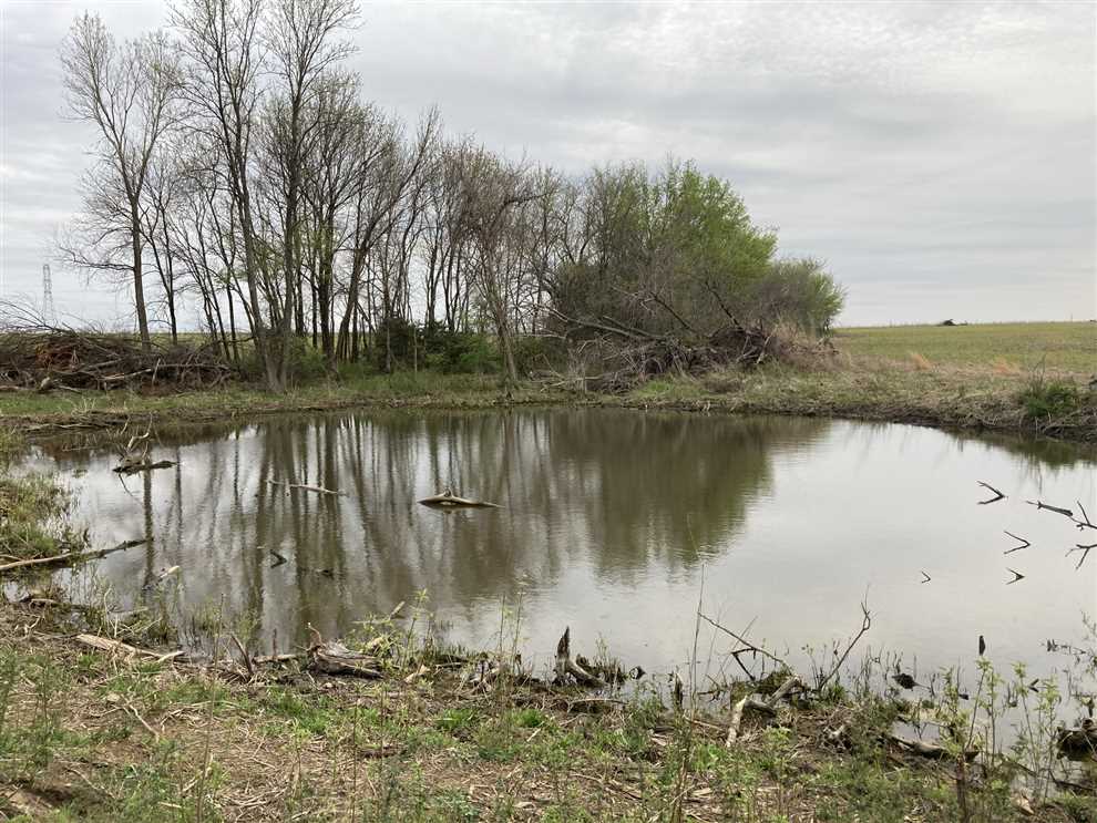 wilson County, Kansas property for sale