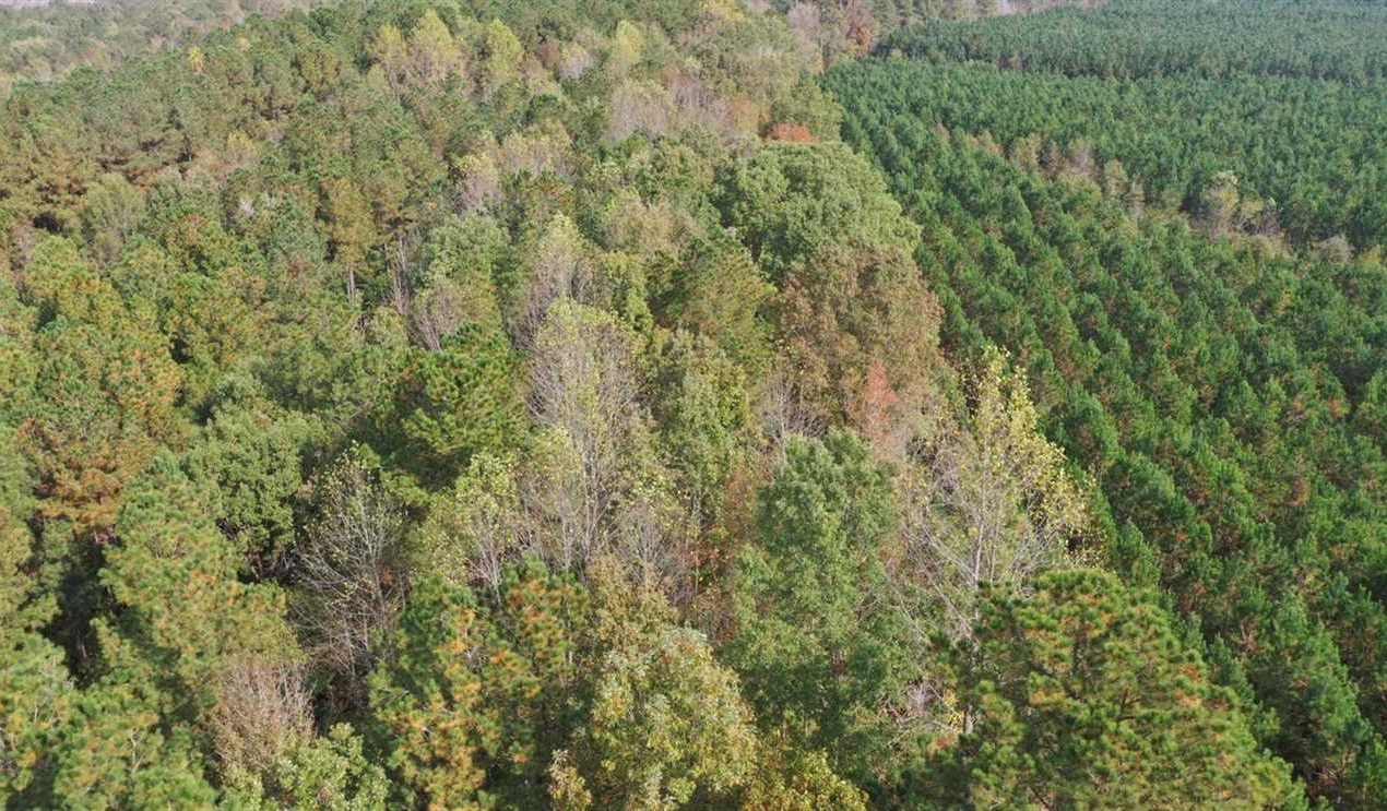 144 Acres of Land for sale in halifax County, North Carolina