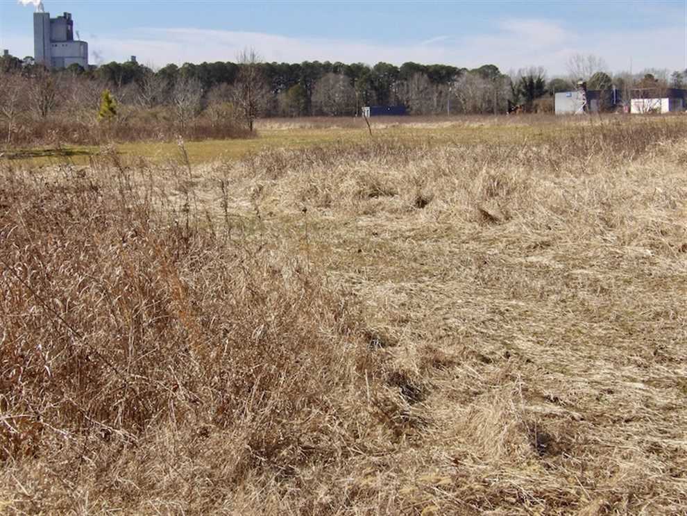 Land for sale to buy in 23851 zip code