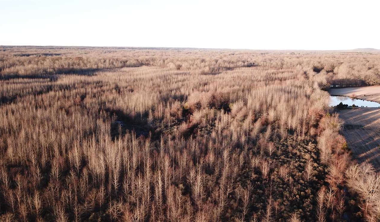 Recreational and   property for sale on The Land Market