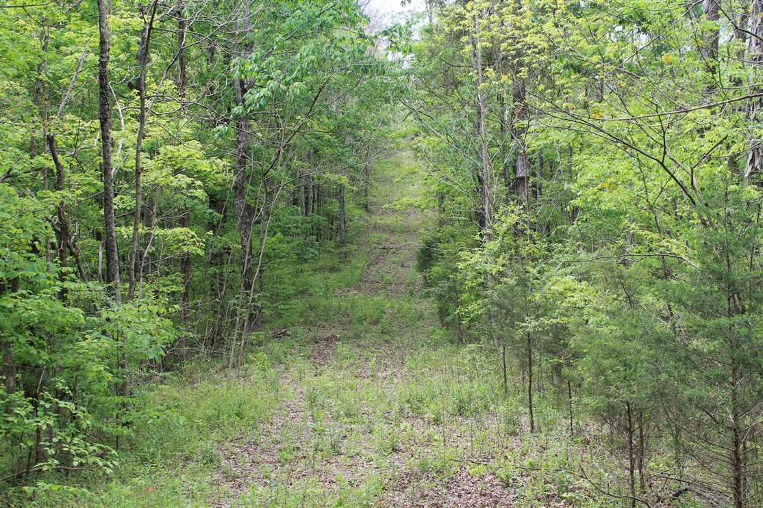 jackson County, Tennessee property for sale