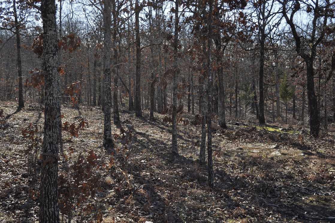 151 Acres of Recreational land for sale in Vilonia, faulkner County, Arkansas