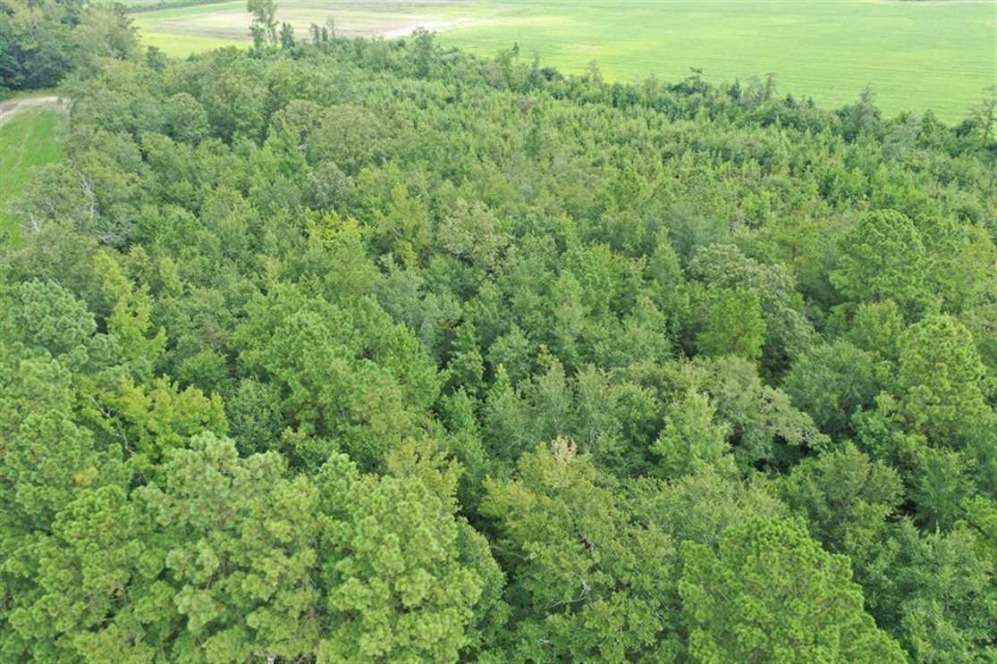 Houses and land for sale in North Carolina