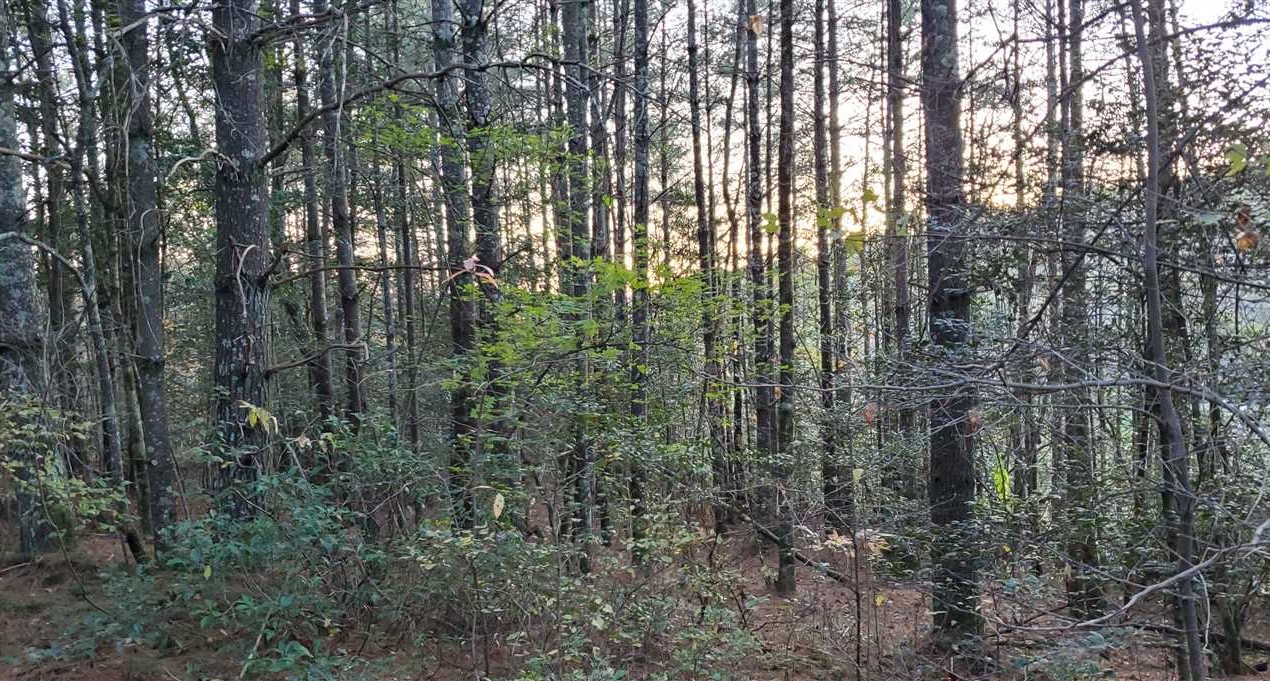 Land for sale to buy in 28645 zip code