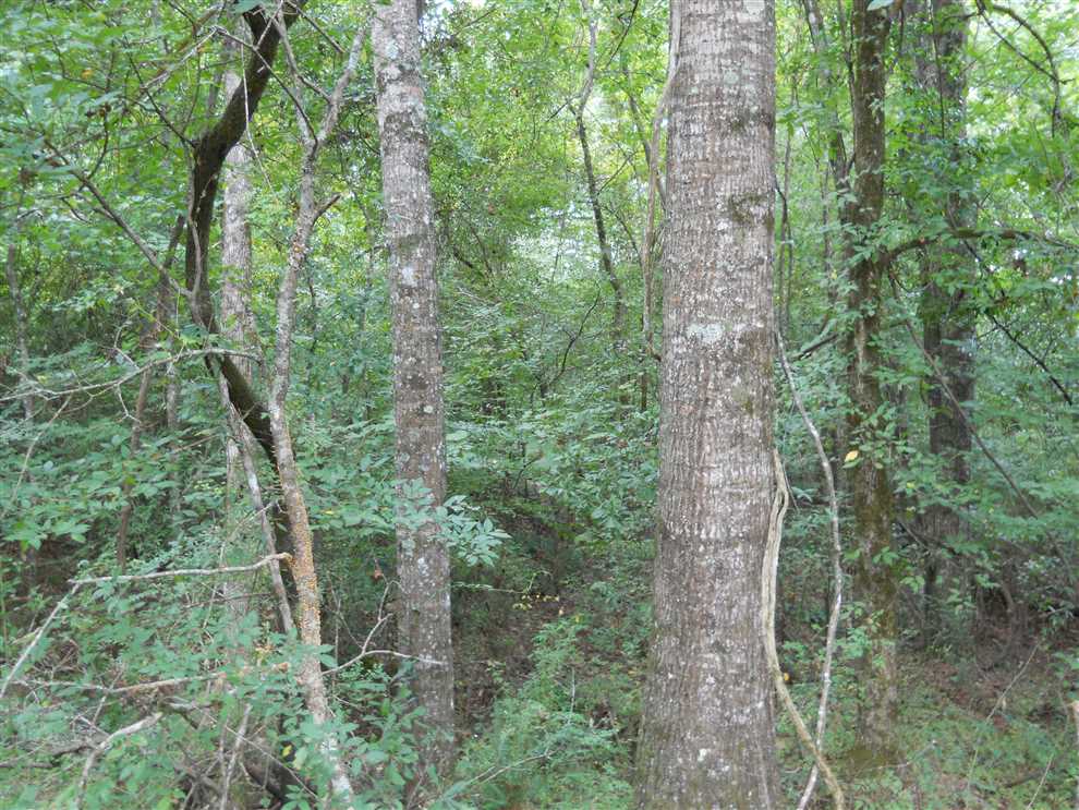 Land for sale at