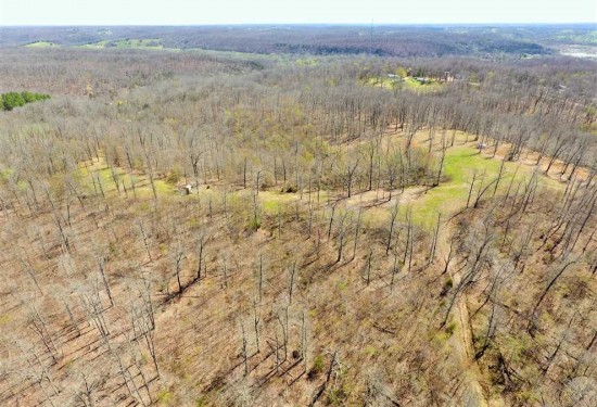 59 Acres of Land for Sale in mcdonald County Missouri
