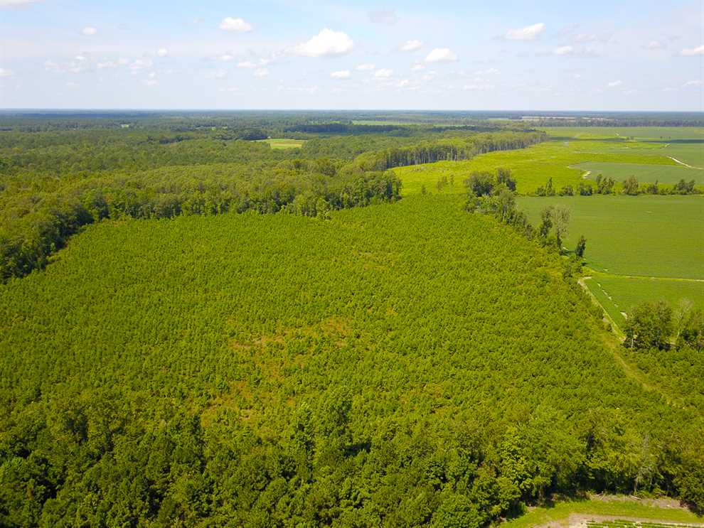 55 Acres of Recreational land for sale in Kelford, bertie County, North Carolina