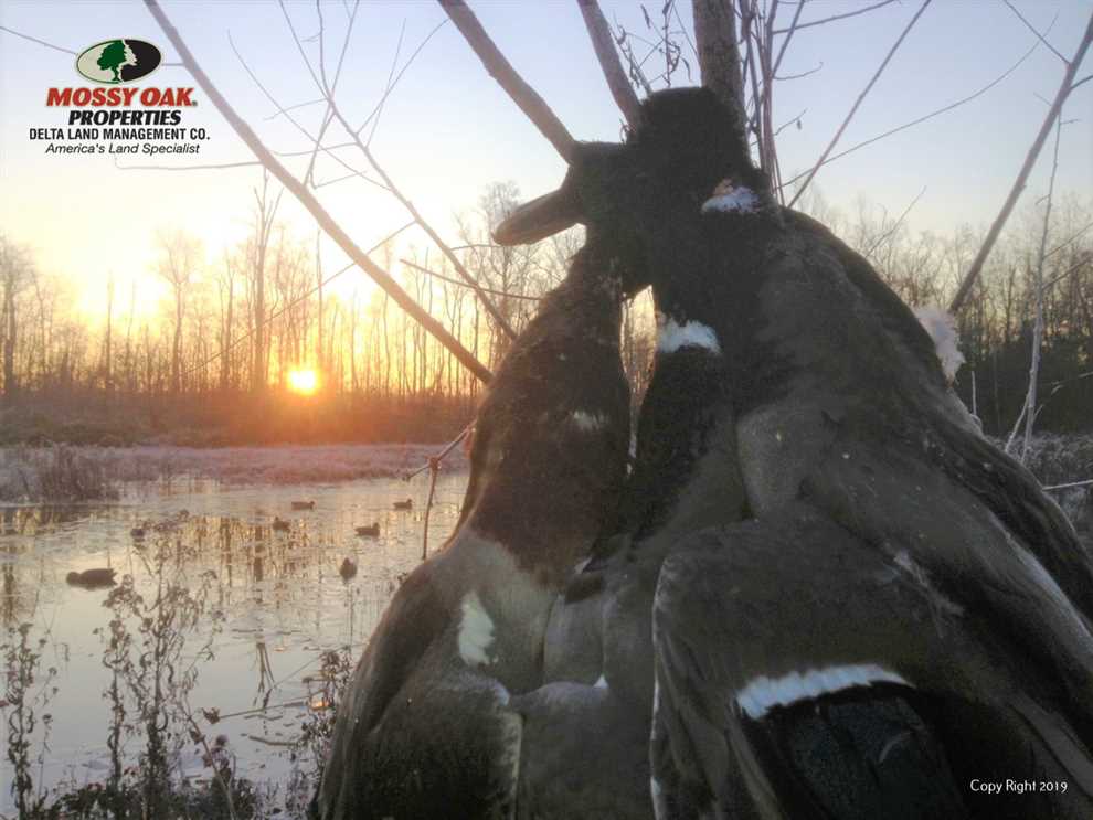 1104 Acres of Recreational land for sale in Benton, saline County, Arkansas