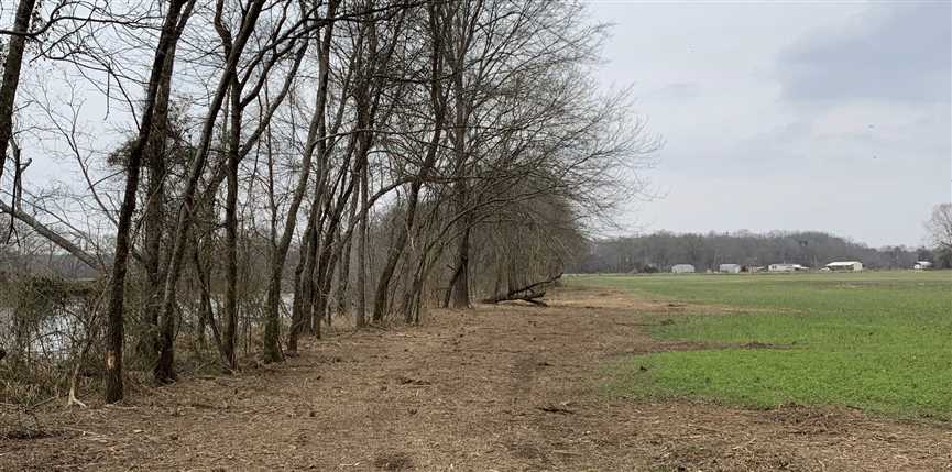 3 Acres of Residential land for sale in Friendship, hot spring County, Arkansas