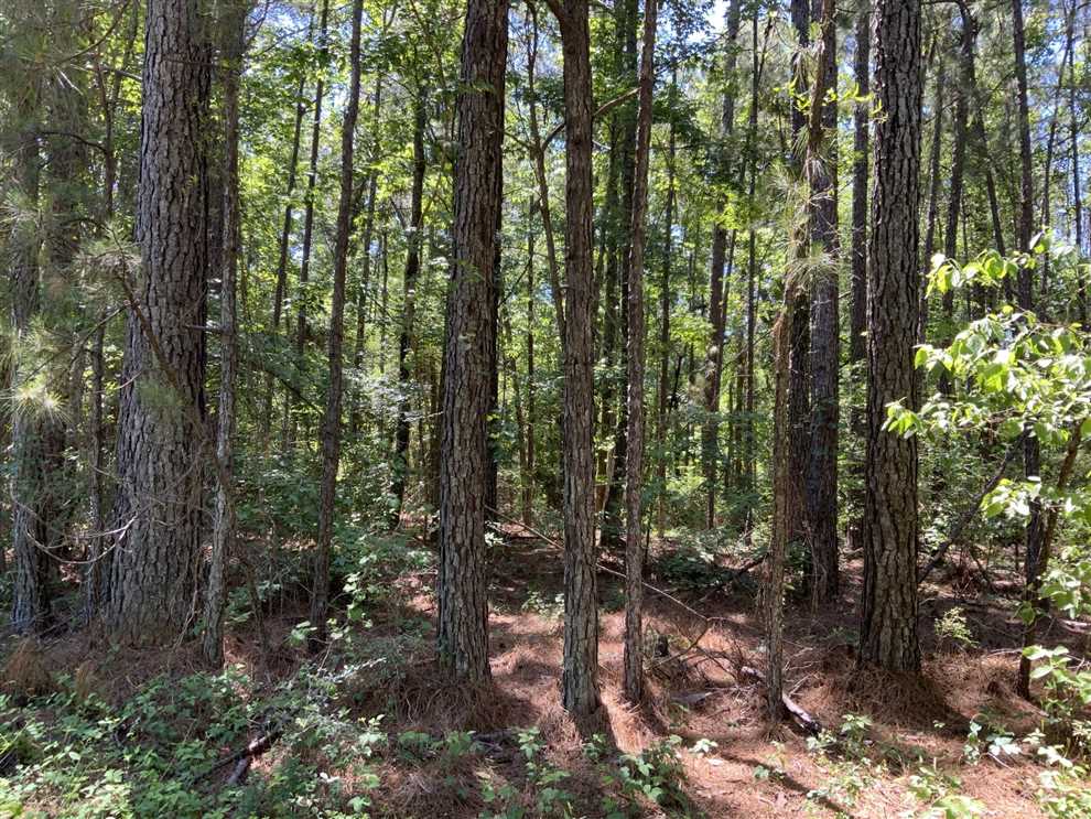 Land for sale at Tarpley Road