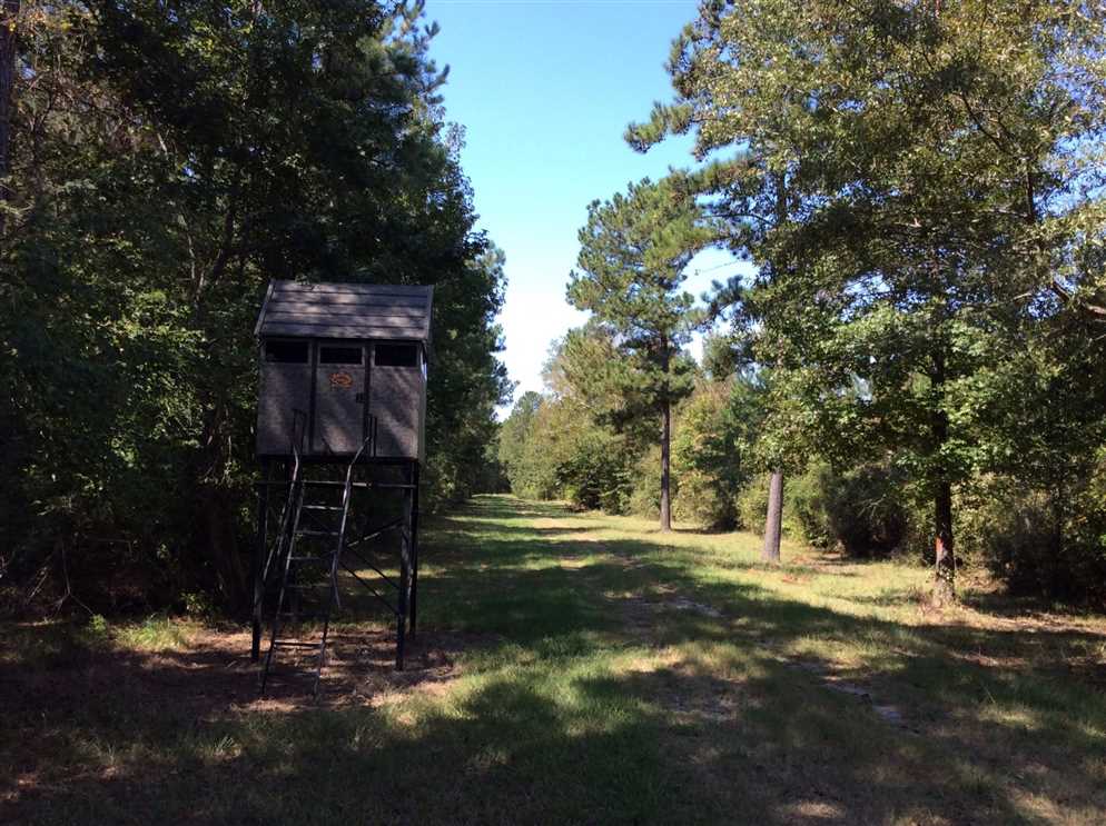 Land for sale to buy in 71435 zip code